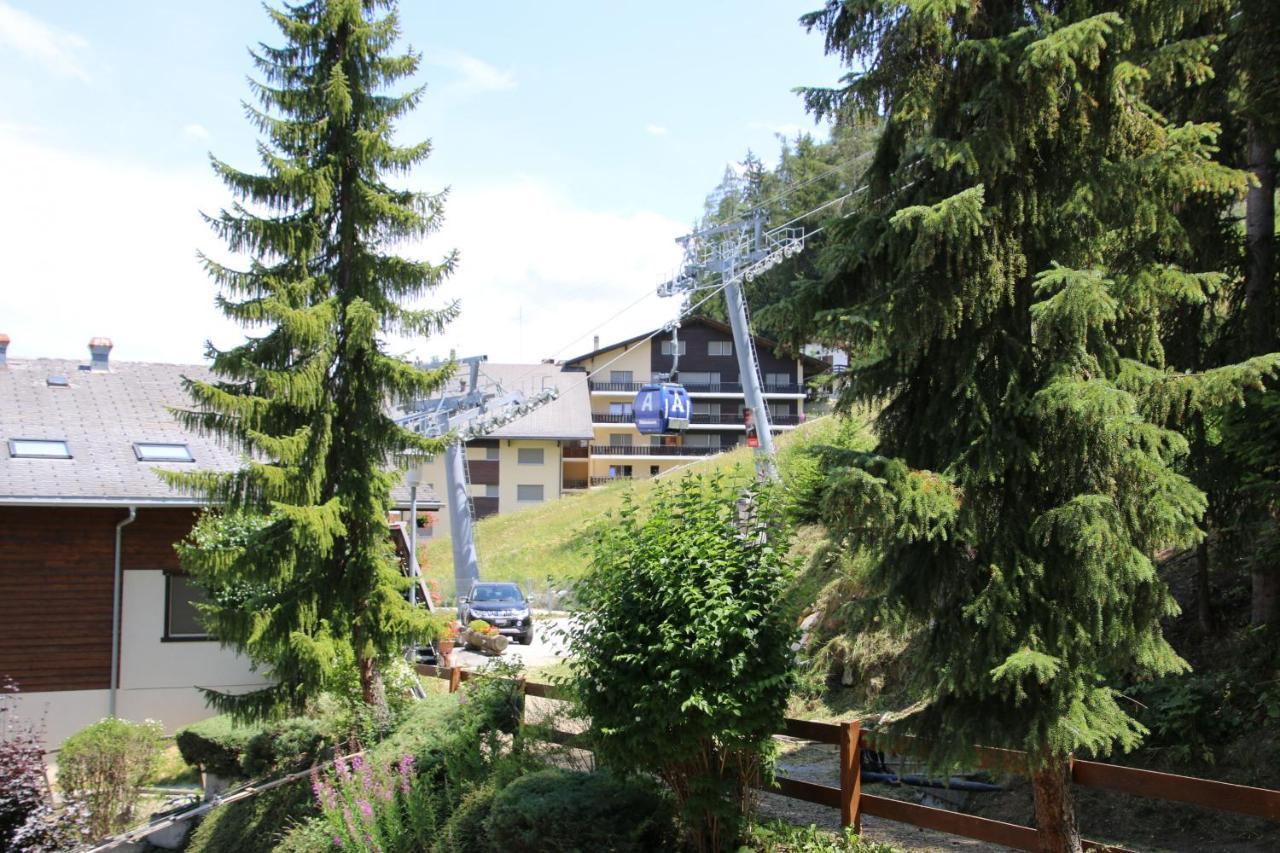 Melezes R-S Mountain & Ski Lift Apartements Veysonnaz